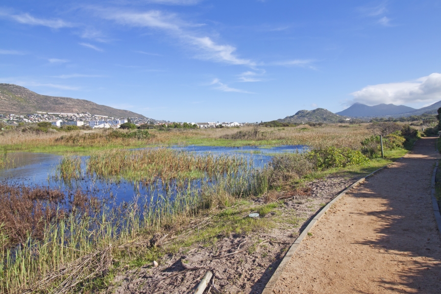 0 Bedroom Property for Sale in Clovelly Western Cape